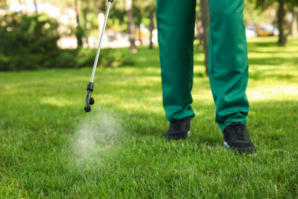 Best Wildlife Control Services  in Kimball, TN