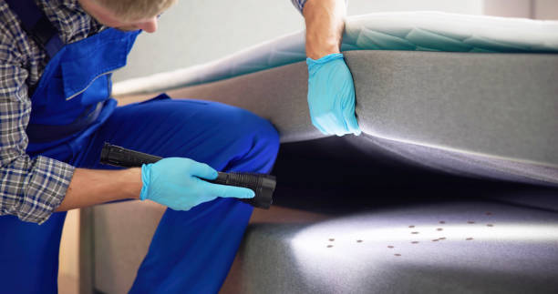 Best Affordable Pest Control Services  in Kimball, TN