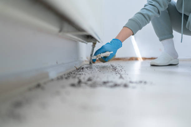 Best Mosquito Control Services  in Kimball, TN