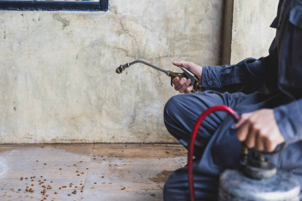 Best Exterminator Services  in Kimball, TN