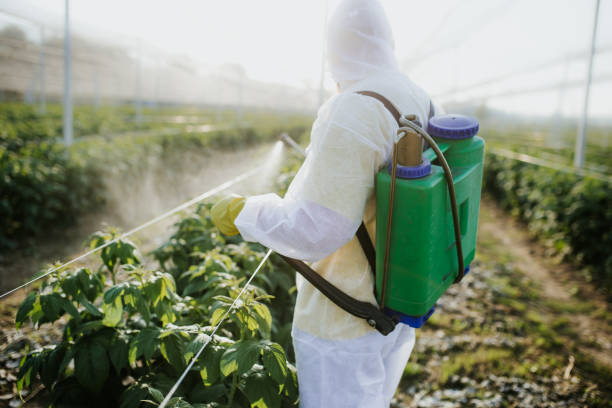 Best Residential Pest Control  in Kimball, TN